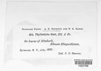 Image Associated With the Occurence